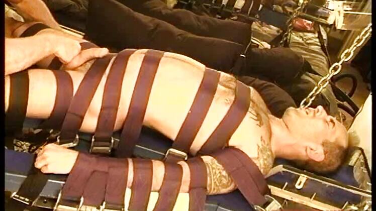 STEEL BOARD DEREK pt 2